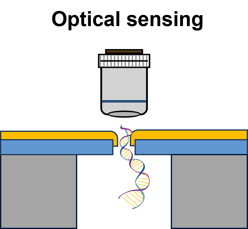 Optical Readout